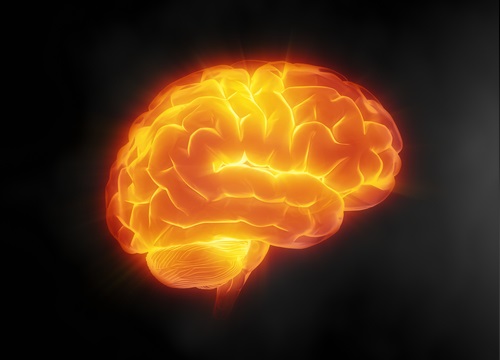 resveratroli suojaa aivoja