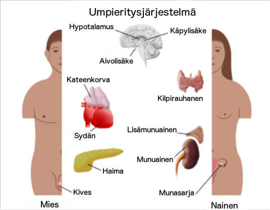 umpieritysjärjestelmä