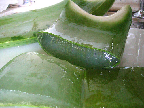aloe-vera-10