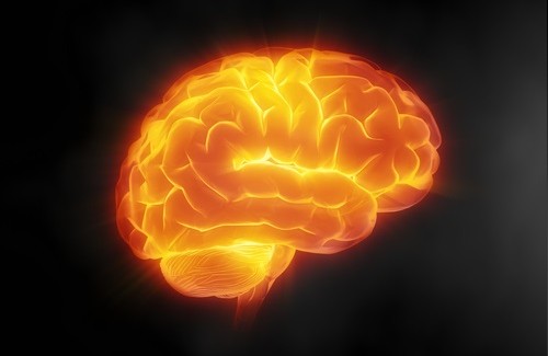 7 keinoa pitää huolta aivoista