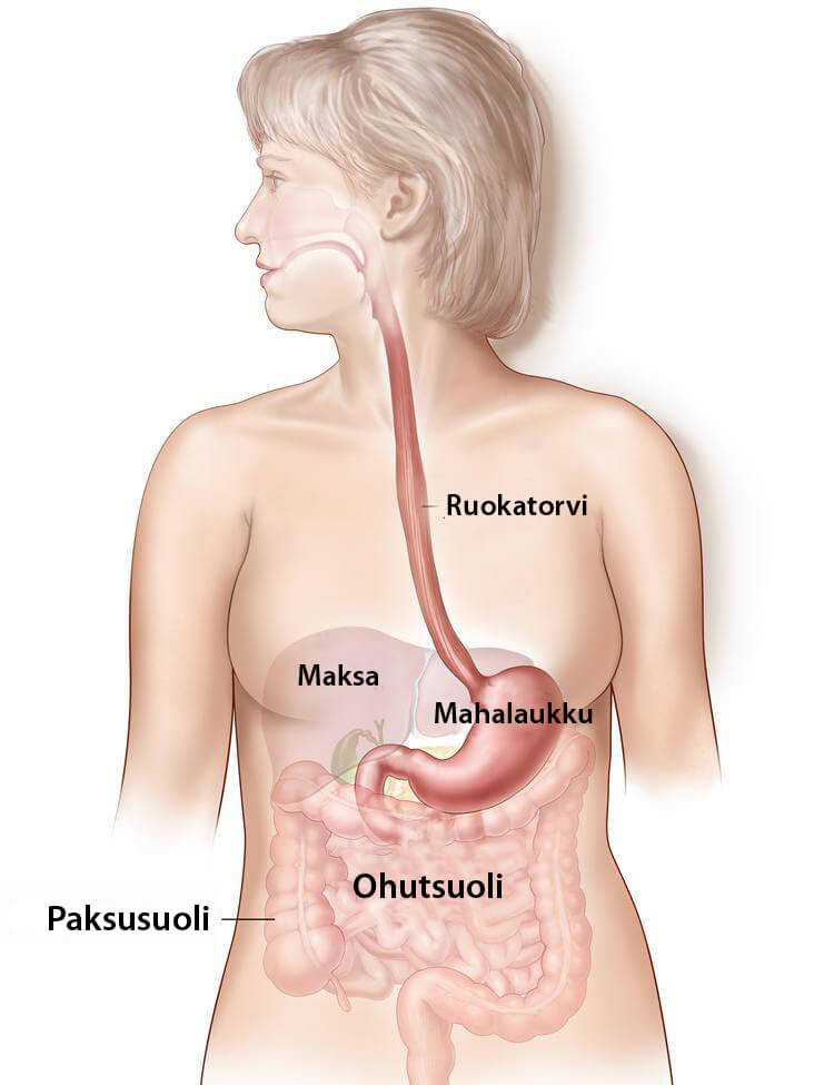 ruokatorvisairauksien oireet