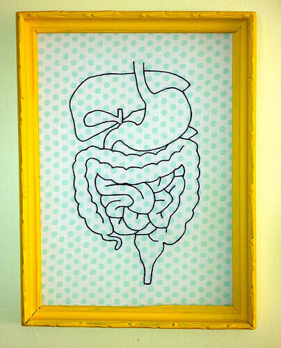 ruoansulatusjärjestelmä