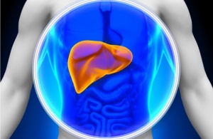 8 ruokaa maksan luonnolliseen puhdistukseen