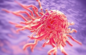 Lääkeyrtit, joita käytetään taistelussa syöpää vastaan