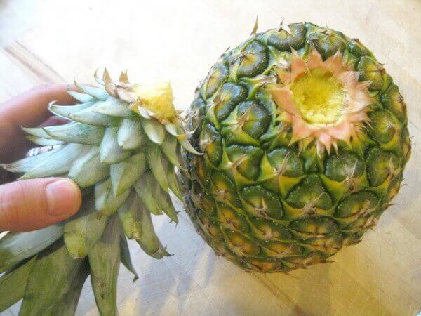 ananas3