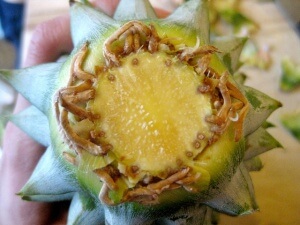ananas4