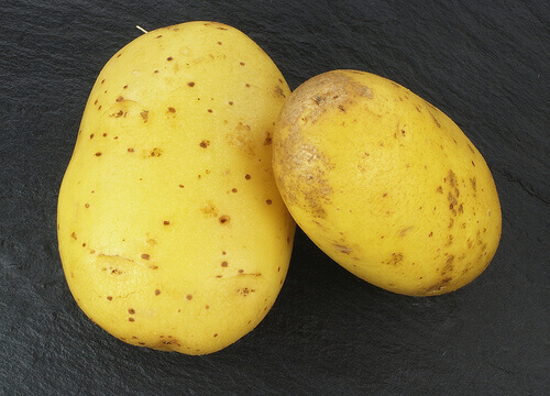 peruna