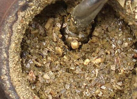 yerba-mate