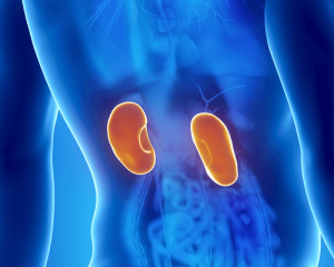 Munuaistulehdus: oireet ja hoito