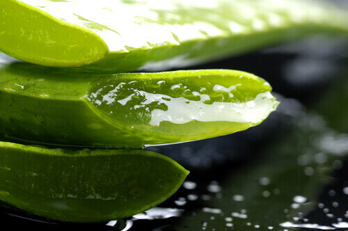 aloe vera hiustenlähtöön
