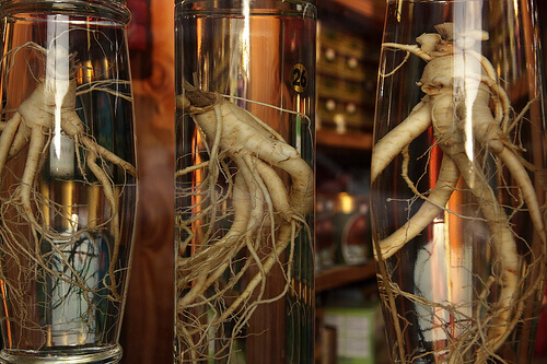 Ginseng