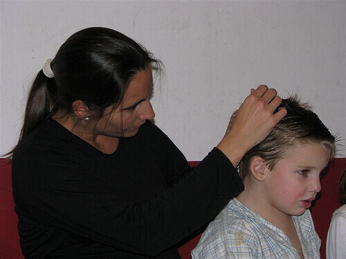 äiti tutkii pojan hiuksia