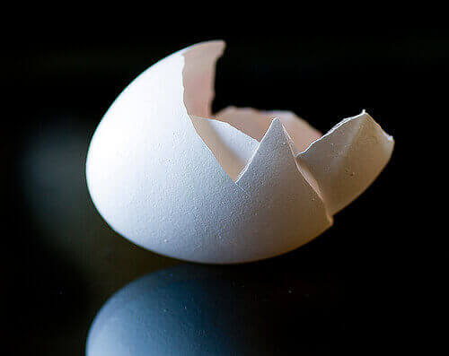 Voit käyttää myös kananmunan kuorta, sillä se sisältää paljon kalsiumia.