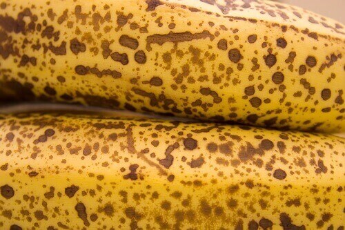 erittäin kypsät banaanit
