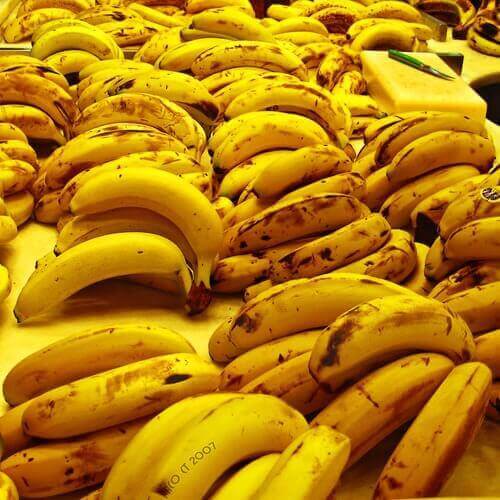 iso kasa banaaneja