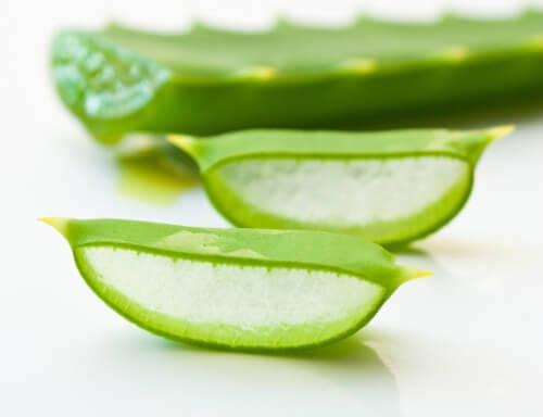 Aloe_vera