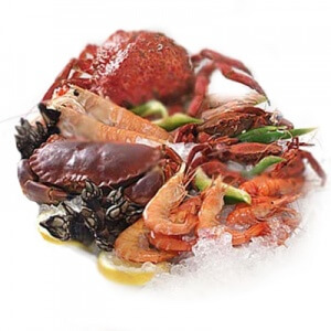 vatsarasvaa polttavat ruoat: merenelävät