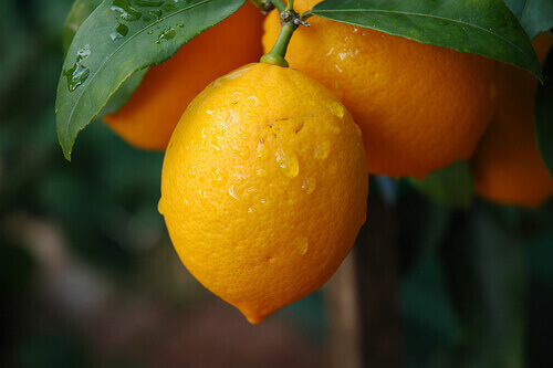 Sitruunalla on monia terveyshyötyjä.