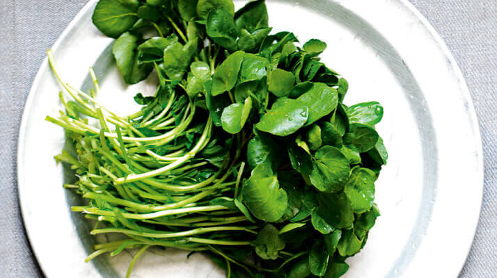 Vesikrassi hoitaa munuaisia