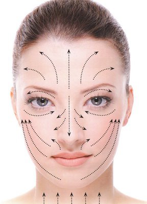 Kasvohieronnan linjat