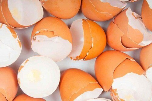 Kananmunan kuorien hyötykäyttö - 16 yllättävää tapaa