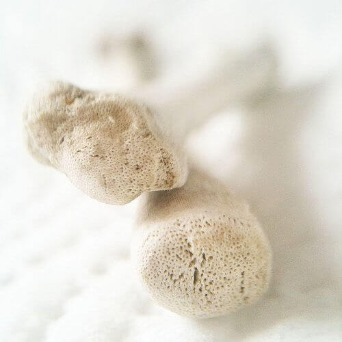 Kauran sisältämä kalsiumi on hyväksi luustolle.