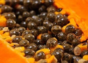 Löydä 5 huikeaa hyötyä papaijan siemenistä