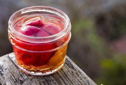 umeboshi-luumut ovat terveydelle hyväksi