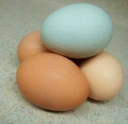 Kananmunien hyötykäyttö onnistuu monella tavalla.