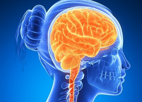 6 aivojen terveyttä parantavaa tuotetta