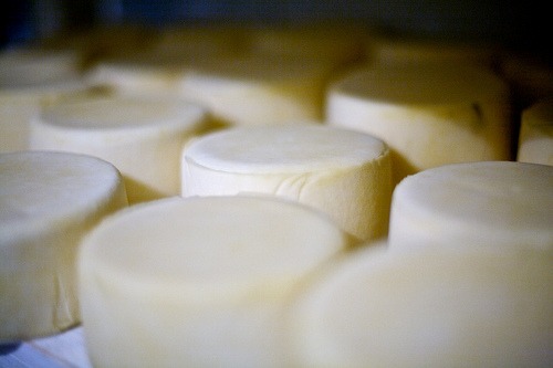 Juustoa voi valmistaa itse