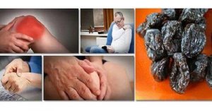 Kuivatut luumut estävät luumassan menetystä