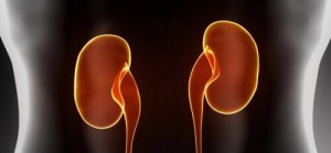 Nämä kasvikset parantavat munuaisten toimintaa