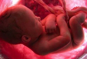 Miksemme muista omaa syntymäämme?