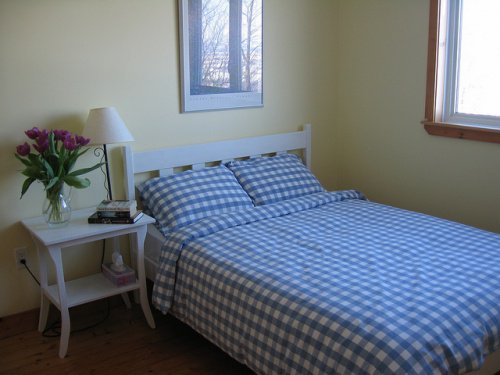 sano hyvästit pölypunkeille