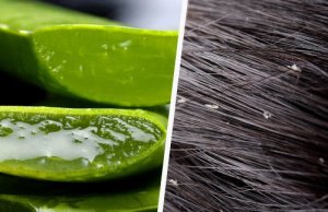 Torju hilse helposti