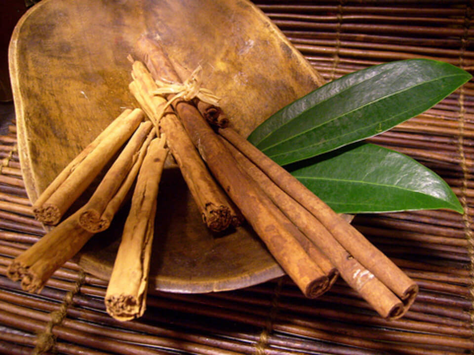 Kanelitangot puuastiassa