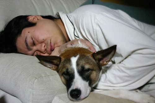 mies nukkuu koiran kanssa