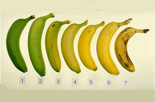 Milloin banaani on terveellisimmillään: raakana vai kypsänä?