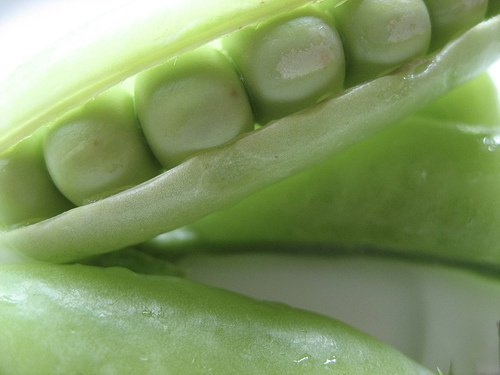 herneellä parannat haimasi terveyttä