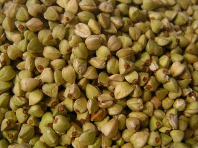 Ruokaa aivoille siemenet