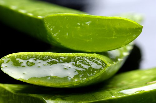 Halkaistu aloe vera