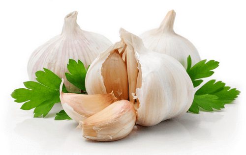 Luonnolliset antibiootit valkosipuli