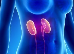 Pitäisikö sinun pitää parempaa huolta munuaisistasi?