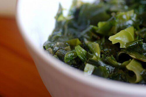 Merilevästä voi valmistaa suolaa