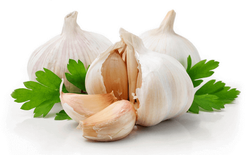 parhaat luonnolliset antibiootit: valkosipuli