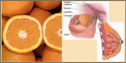 appelsiinit ja rinnat muistuttavat toisiaan