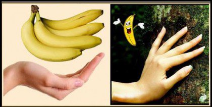 banaanit muistuttavat käsiä