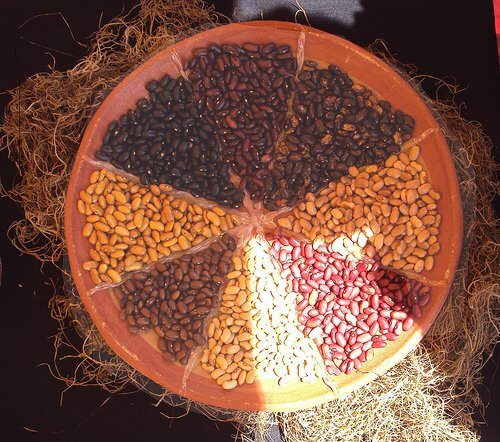 pavut aiheuttavat turvotusta