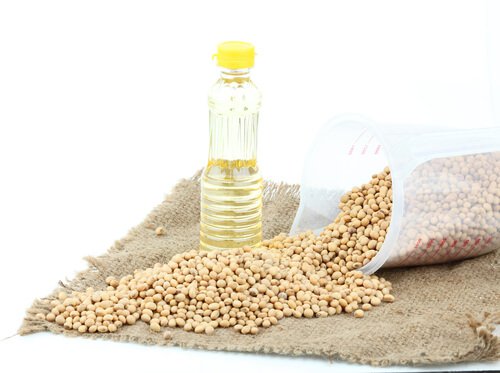 öljy soijapavuista